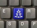 Key with christmas tree Royalty Free Stock Photo