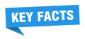 key facts banner. key facts speech bubble.