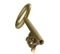 Key in gold with sex text (3d) Royalty Free Stock Photo