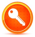 Key icon natural orange round button Royalty Free Stock Photo