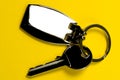 Key on keyring Royalty Free Stock Photo