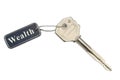 Key with label Wealth Royalty Free Stock Photo