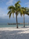 Key Largo Beach Royalty Free Stock Photo