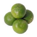 Key Lime Citrus Group