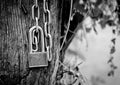 Key lock with metal chain on wooden background, black and white photography Royalty Free Stock Photo