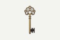 key and lock vector flat minimalistic isolated vector style illustration