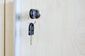 Key in office cabinet drawer lock Royalty Free Stock Photo
