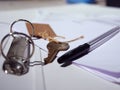 Key with paperwork and pen for property medium shot