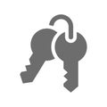Key ring or keys vector icon