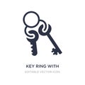 key ring with two keys icon on white background. Simple element illustration from Tools and utensils concept Royalty Free Stock Photo