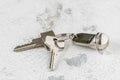 Key ring with two keys and tag on a white background Royalty Free Stock Photo