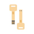 Key shape Flash drive (USB memory) icon Flat illustration Royalty Free Stock Photo
