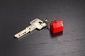 Key and fob with red house Royalty Free Stock Photo