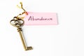 Key to abundance Royalty Free Stock Photo