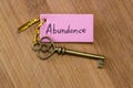 Key to abundance Royalty Free Stock Photo