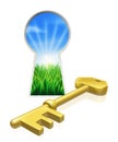 Key to freedom concept Royalty Free Stock Photo