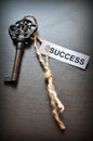 The key to succes Royalty Free Stock Photo