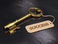 Key to Success Royalty Free Stock Photo