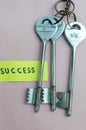 Key to success. Keys to Success in Business. A conceptual background image. Still Life Royalty Free Stock Photo