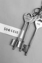 Key to success. Keys to Success in Business. A conceptual background image. Still Life Royalty Free Stock Photo