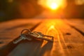 The key to success is perseverance. Isolated on a sunset background with a blurred foreground. Royalty Free Stock Photo