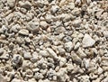 Key West beach shells sand detail in Florida Royalty Free Stock Photo