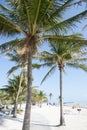 Key West Beaches Royalty Free Stock Photo