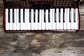 Keyboard of accordian Royalty Free Stock Photo