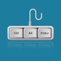 Ctrl, Alt, PrtScr keyboard keys isolated on background vector illustration