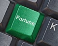 Hot key for fortune Royalty Free Stock Photo