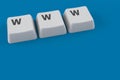 Keyboard keys with WWW text Royalty Free Stock Photo