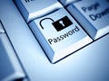 Keyboard and Password button, internet concept
