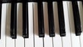 Keyboard of the piano - white and black keys