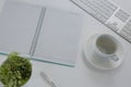 Keyboard, pot plant, pen, book, coffee cup and saucer on table Royalty Free Stock Photo