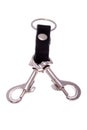 Keychain with clips