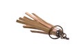 keychain isolated on white background Royalty Free Stock Photo