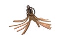 keychain isolated on white background Royalty Free Stock Photo