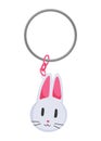 Keychain or keyholder icon. Cartoon color key ring, chain round holder or metal trinket. Modern keys pendant. Home Royalty Free Stock Photo