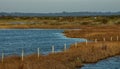 Keyhaven salt marshes in the Autumn