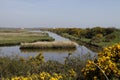 Keyhaven salt marshes in the Spring