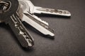 Keyring with keys in grey tone over a black background