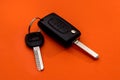 Keys and black car alarm panel Royalty Free Stock Photo