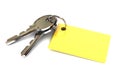 Keys with Blank Gold Keyring Royalty Free Stock Photo