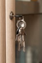 Keys on the cabinet Royalty Free Stock Photo