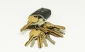 Keys on a car remote key chain Royalty Free Stock Photo
