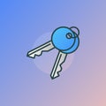 Keys colorful vector icon