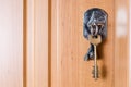 Keys at the door of the house room Royalty Free Stock Photo