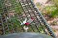 Keys forgotten on metal bench outdoors. Lost and found