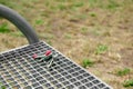 Keys forgotten on metal bench outdoors. Lost and found