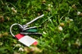 Keys on green grass outdoors. Lost and found